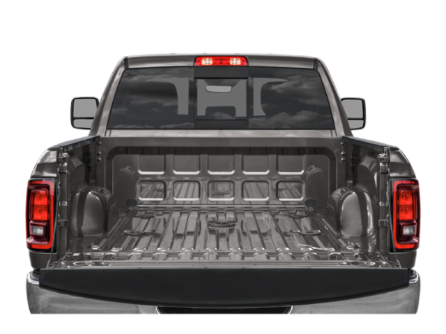 New 2026 Ceramic Gray Clear-Coat Exterior Paint RAM Black Express image 8