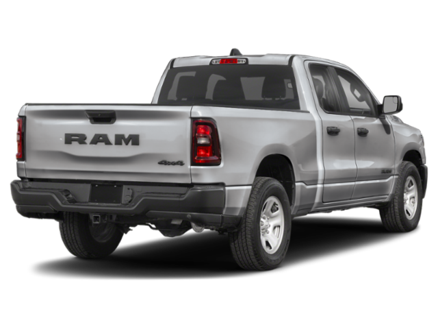 New 2026 Silver Zynith Exterior Paint RAM Express image 23