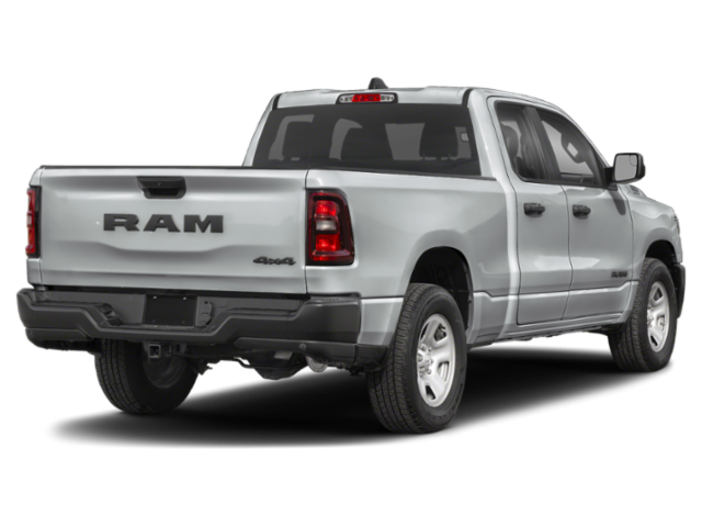 New 2026 Silver Zynith Exterior Paint RAM Express image 2