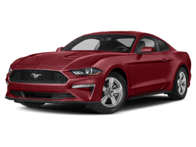 Used 2019 Ruby Red Ford EcoBoost Premium image 2