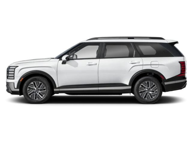 New 2027 White Hyundai Calligraphy image 3