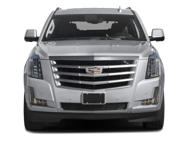 2016 Cadillac Escalade Luxury photo 3