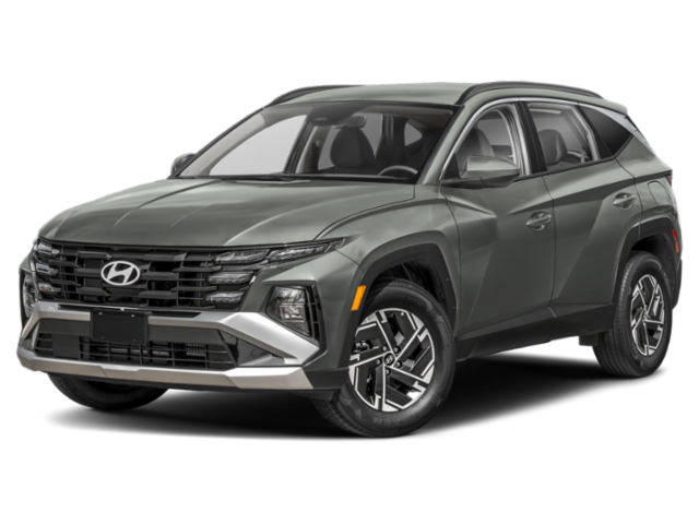 New 2026 Amazon Gray Hyundai Blue image 1