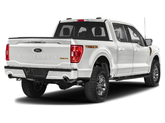 Used 2023 Ford F-150 Tremor with VIN 1FTEW1E88PFA20853 for sale in Kansas City