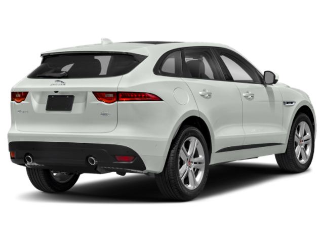 Used 2020 Fuji White Jaguar 25t Prestige image 2