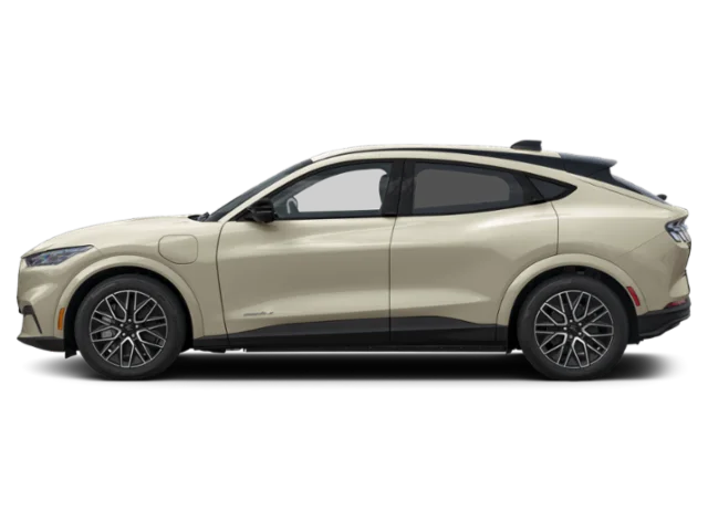 New 2026  Ford Premium image 3