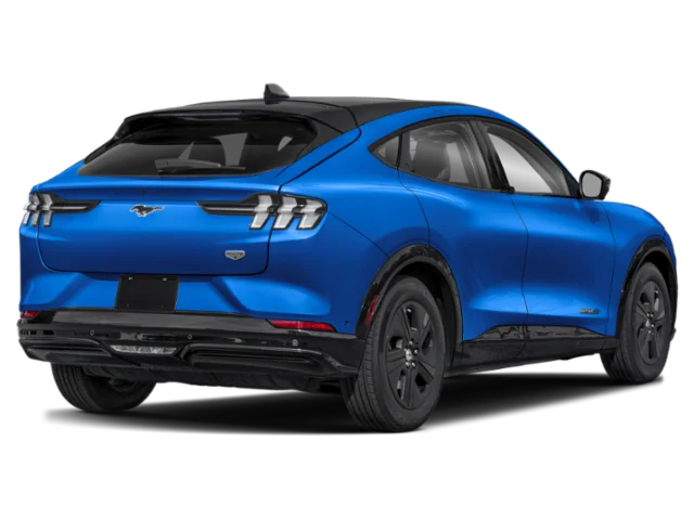 Used 2023 Blue Ford California Route 1 image 2