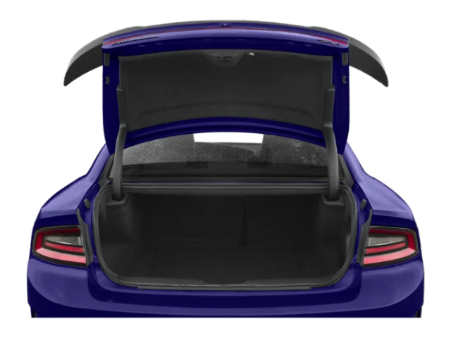 Used 2018 Black Dodge R/T Daytona 392 image 9