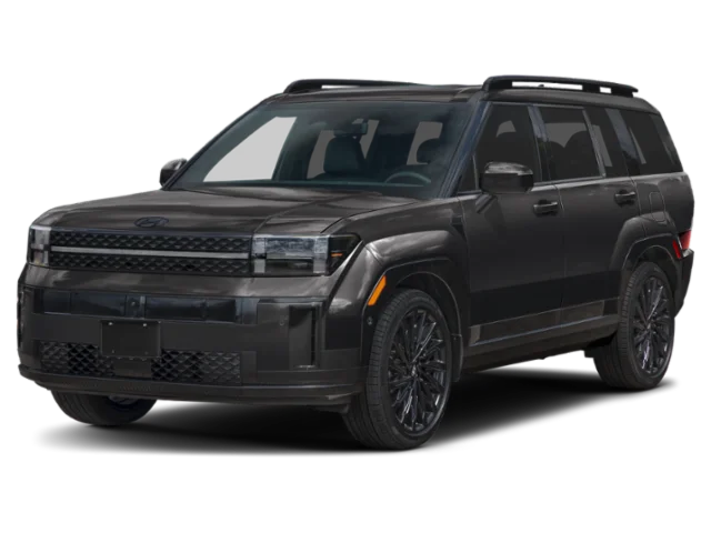New 2027 Phantom Black Hyundai Calligraphy image 1