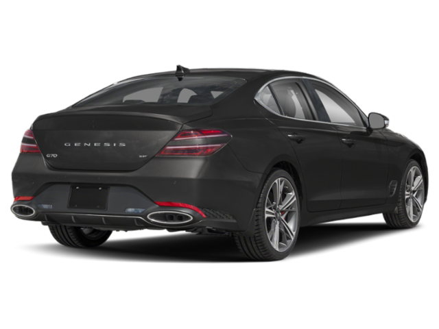 New 2026 Vik Black Genesis  image 2