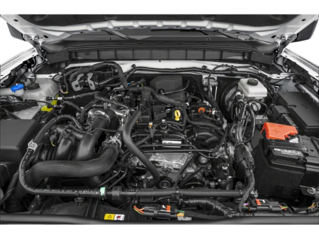 Used 2024 White Ford Big Bend image 9