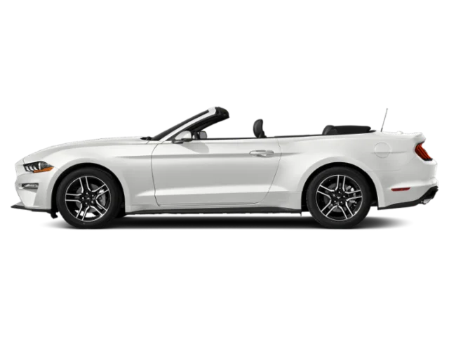 Used 2019 Oxford White Ford EcoBoost image 3