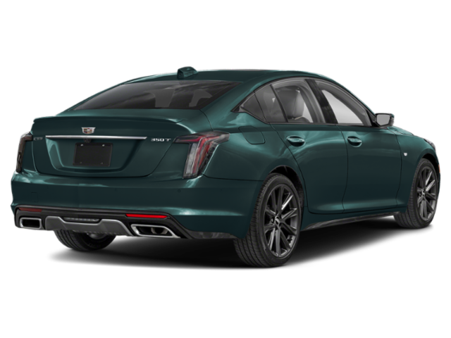 New 2026 Typhoon Metallic Cadillac Sport image 2