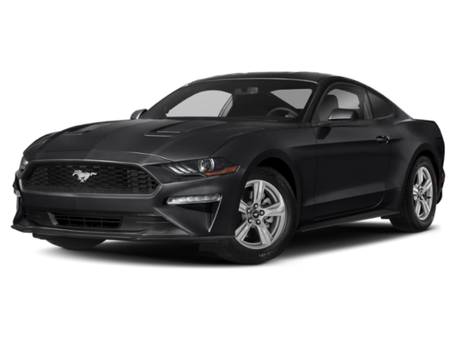 Used 2021 Oxford White Ford EcoBoost image 1