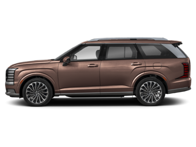 Used 2026 Cast Iron Brown Pearl Hyundai Calligraphy image 4