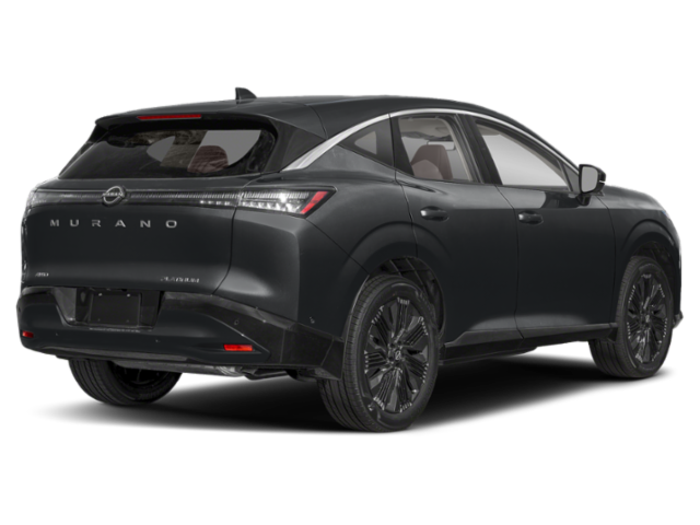 New 2026 Super Black Nissan Platinum image 2