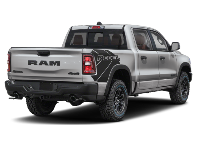 New 2026 Silver Zynith Exterior Paint RAM REBEL image 11