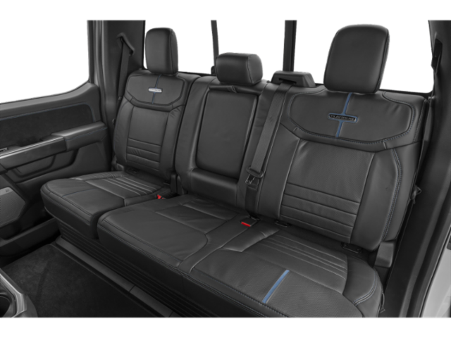 2025 Ford F-150 Platinum - Photo 18