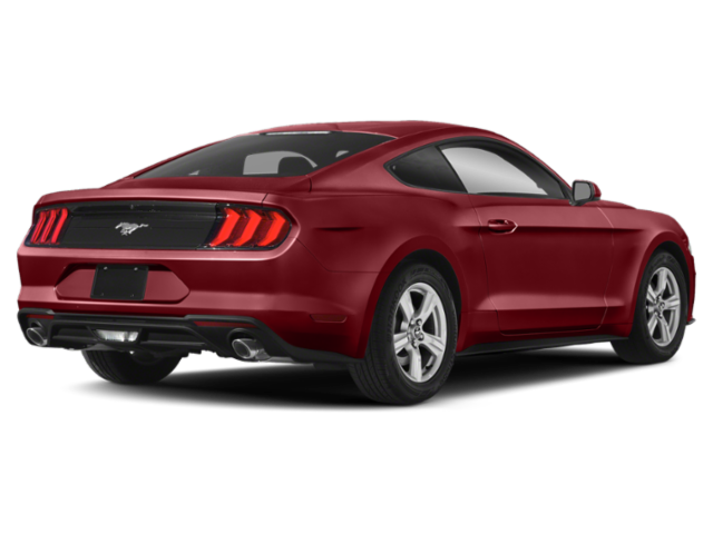 Used 2019 Ruby Red Ford EcoBoost Premium image 3