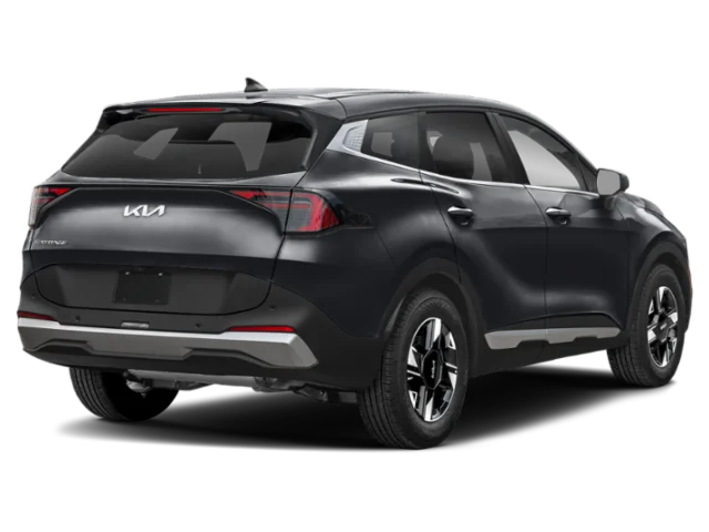New 2026 Panthera Metal Kia LX image 2