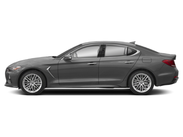 Used 2019 Himalayan Gray Genesis 2.0T Advanced image 3