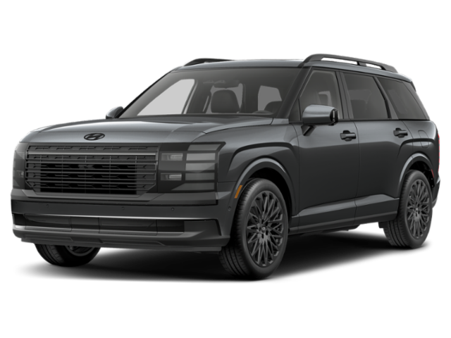 New 2027 Gray Hyundai Calligraphy Black Ink image 1