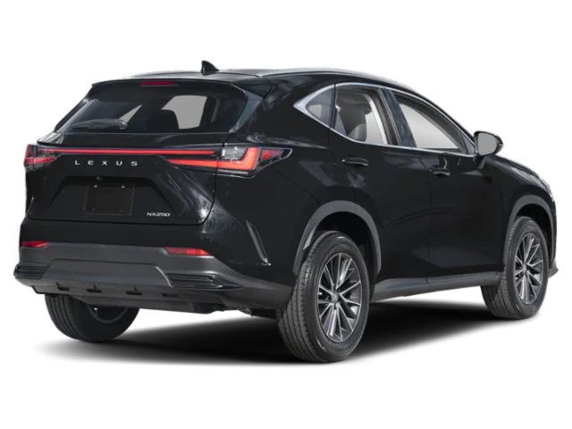 Used 2025 Caviar Lexus 250 Premium image 2
