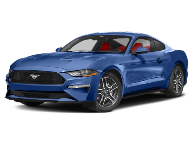 Used 2023 Blue Ford EcoBoost image 6