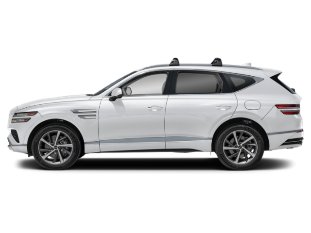 New 2027 Alta White Genesis  image 4