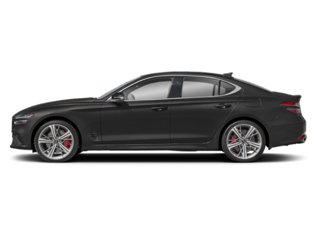 New 2026 Vik Black Genesis  image 3