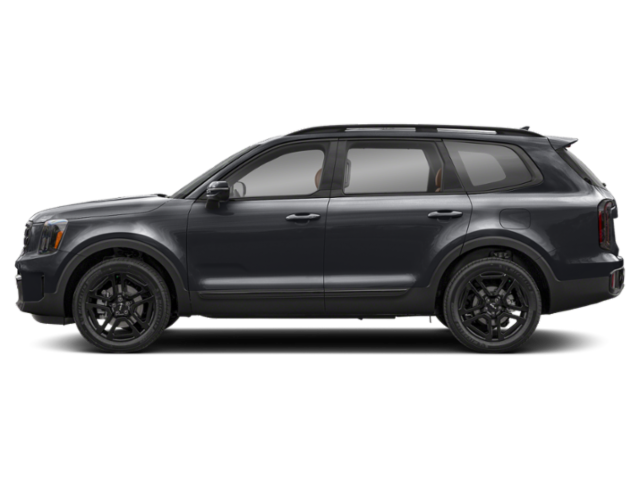 Used 2025 Panthera Metal Kia SX X-Line image 3
