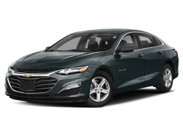 Used 2019 Gray Chevrolet LS image 5