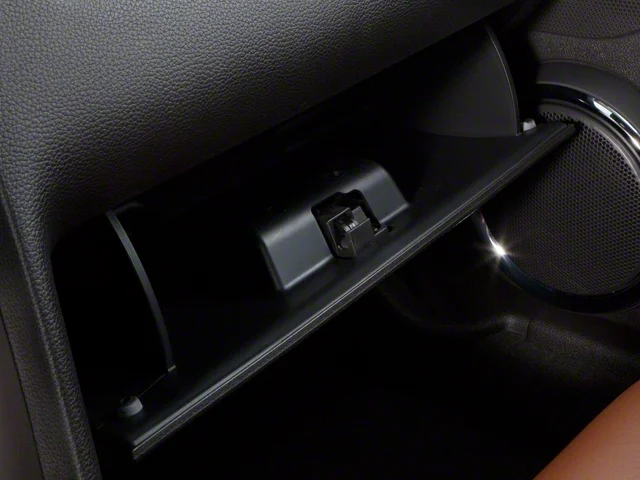 Used 2010  Ford GT Premium image 23