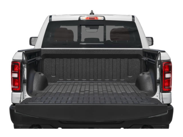 New 2026 Tank Exterior Paint RAM Rebel image 8