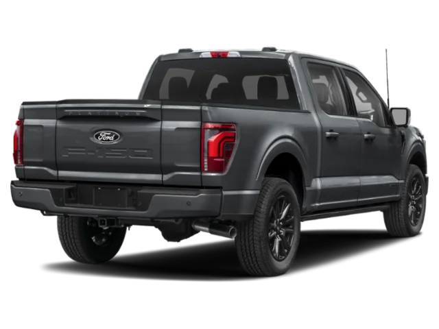 2025 Ford F-150 Platinum - Photo 10