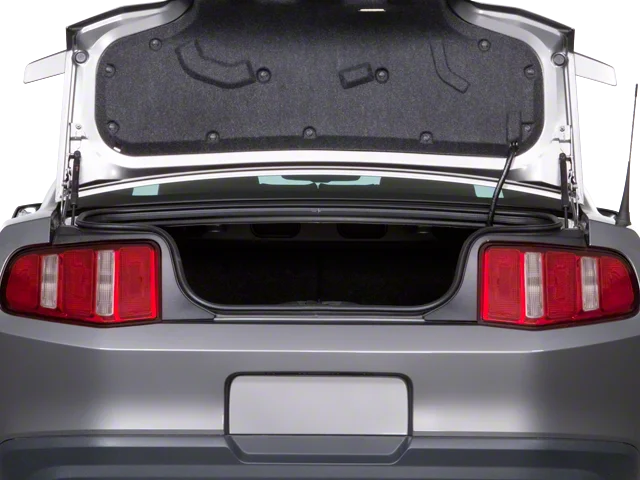 Used 2010  Ford GT Premium image 20
