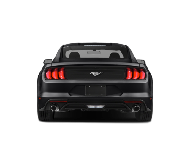 Used 2021 Oxford White Ford EcoBoost image 5