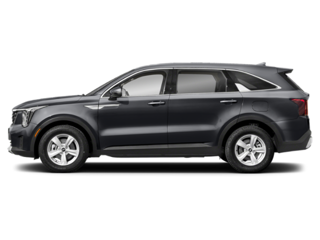 Certified Used 2025 Panthera Metal Kia LX image 3