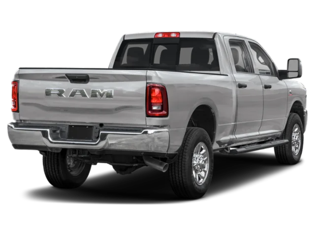 New 2027 Silver Zynith RAM Black Express image 2