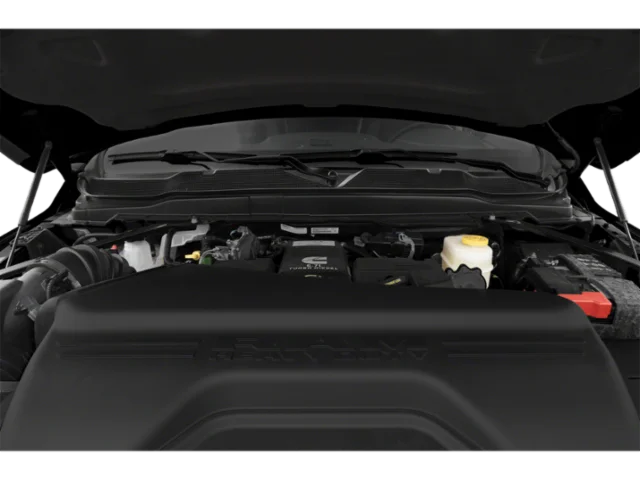 Used 2020 Black Ram Limited image 9
