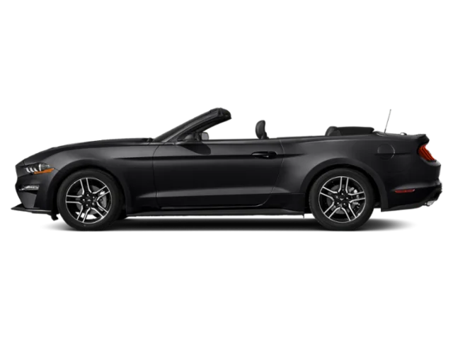 Used 2019 Black Ford EcoBoost Premium image 3