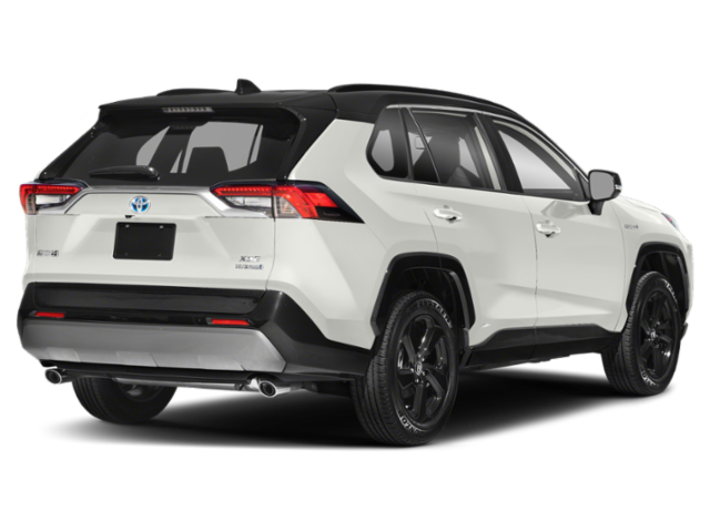 Used 2019 Toyota RAV4 XSE with VIN JTMEWRFV8KD510118 for sale in Fergus Falls, Minnesota