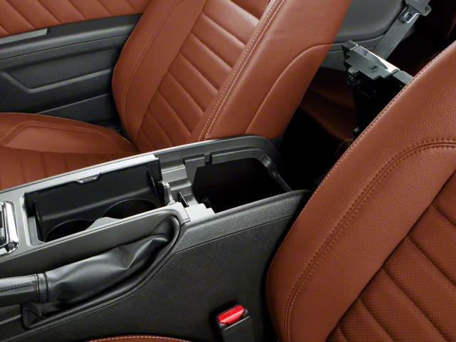 Used 2010  Ford GT Premium image 24