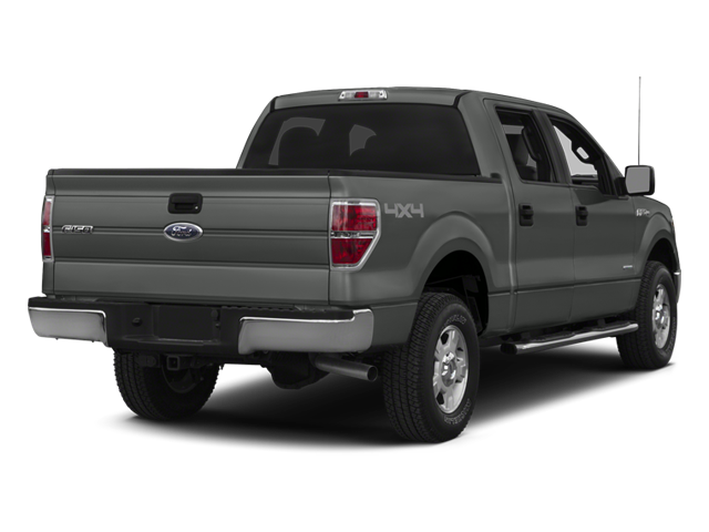 2014 Ford F-150 FX4 photo 2