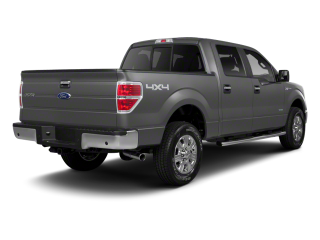Used 2010 Gray Ford XLT image 2