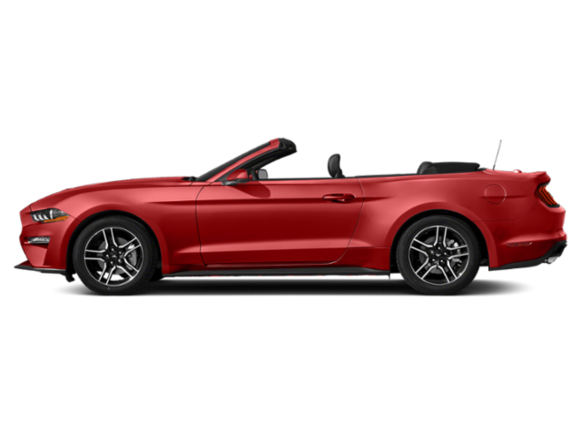 Used 2019 Red Ford EcoBoost Premium image 4