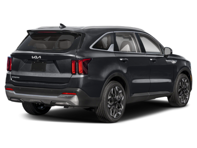 New 2026 Panthera Metal Kia EX image 2