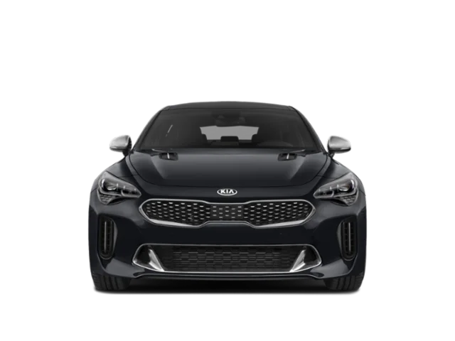 Used 2019 Panthera Metal Kia GT image 7