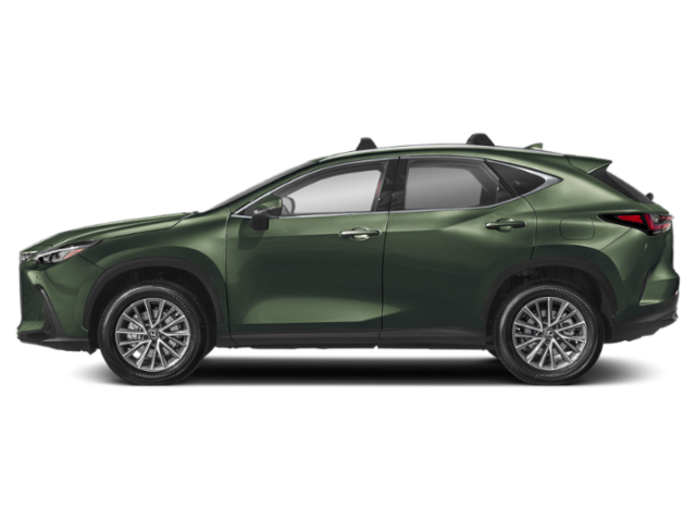 Used 2023 Nori Green Pearl Lexus Premium image 3
