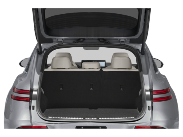 Used 2025 Silver Genesis Advanced image 8